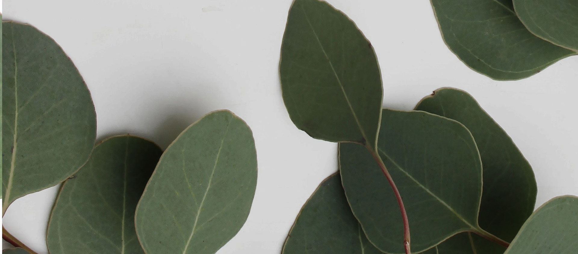 Взыскание ущерба от экологических правонарушений в Гавриловом-Яме