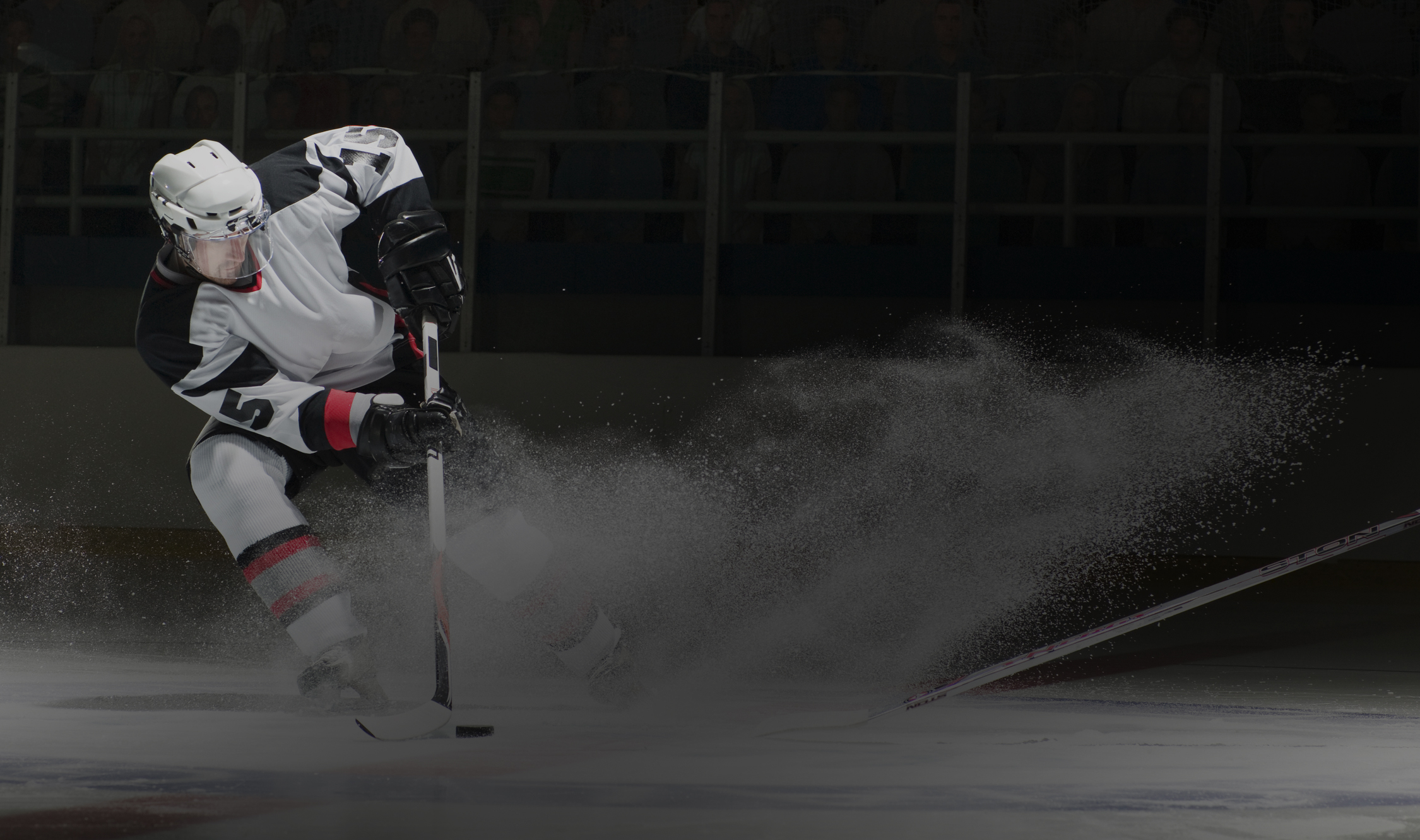 Услуги спортивного юриста в Гавриловом-Яме